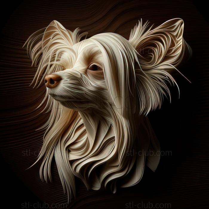 3D model st Chinese Crested dog (STL)